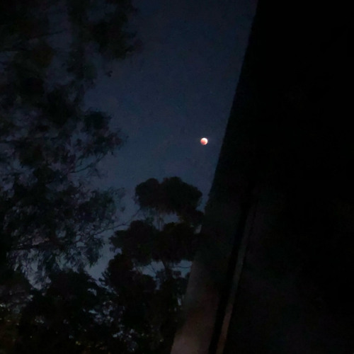 Tell no lie (watch) (ft $moky P & tracysfuneral)