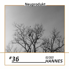 NEUPRODUKT #36 - Hannes