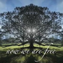 Now we are free (Timothy Sage rework part 3)