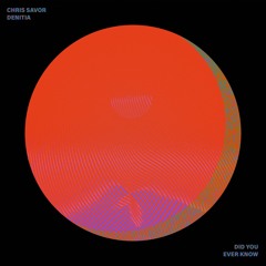 Did You Ever Know (feat. Denitia)
