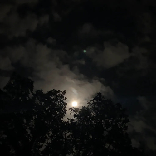 هو انتا قد الاحرار