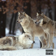 LET THE WOLVES PLAY [PROD. BY CHUCK PLATINUM]