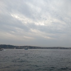 Raviolidator - Ensamseglaren