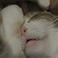 hate me (Blue October cover)