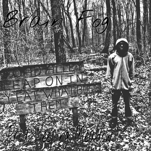 BRAIN FOG (PROD. Weeping Meadow)
