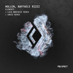 Hollen & Raffaele Rizzi - Elements (Uakoz in Acid Remix) [Prospect Records]