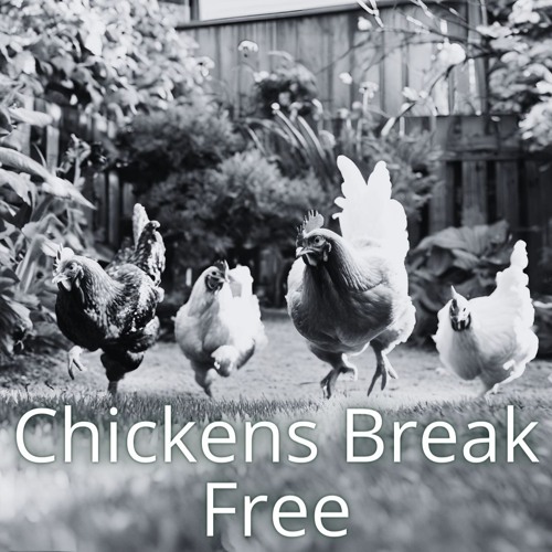 Chickens Break Free