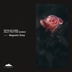 PREMIERE: Nicolas Viana & Jelly For The Babies - Magnetic Rose [The Purr]