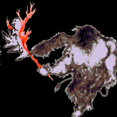 THE ELECTRIC DETERMINATION