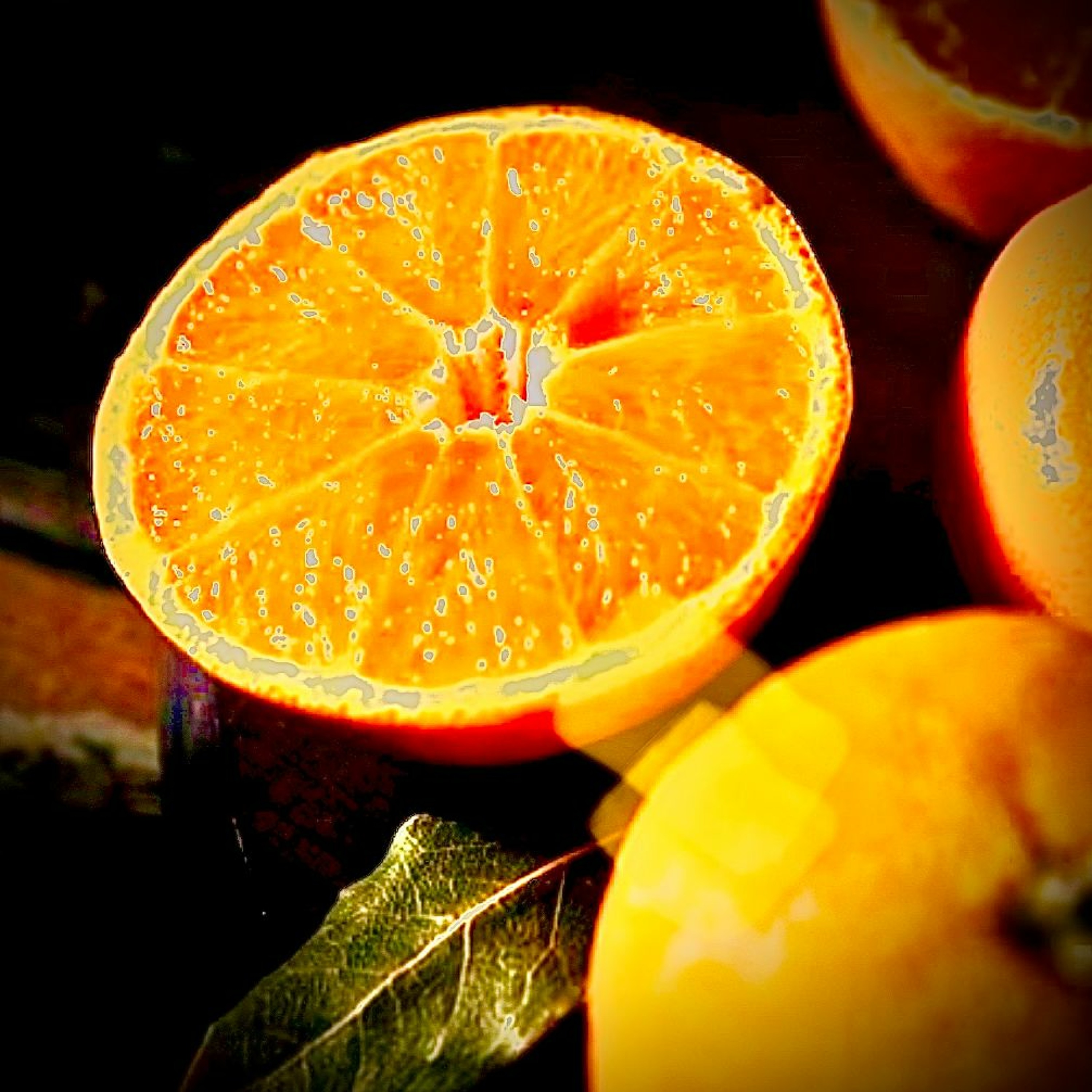 REC - 2023 027PA  orangina