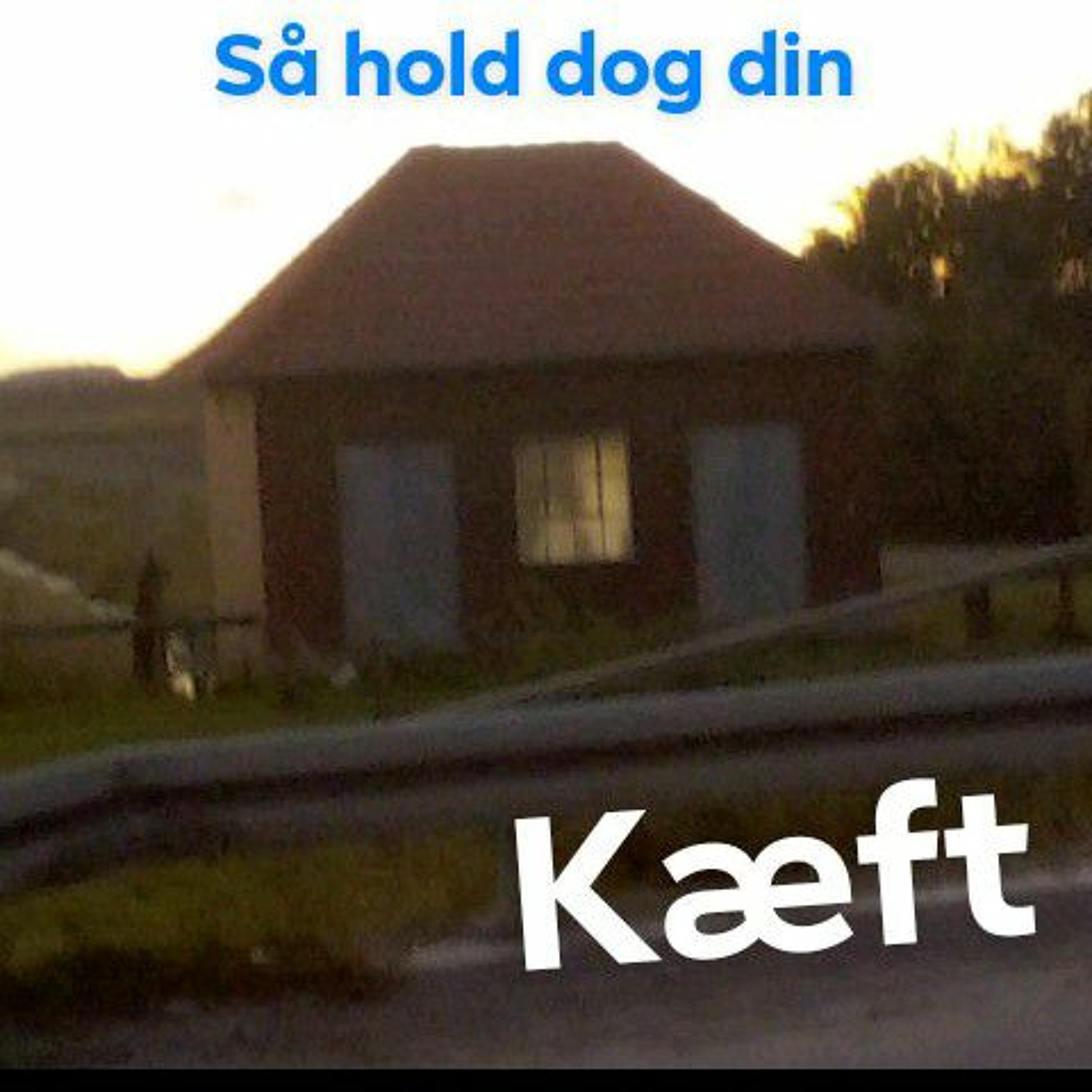 fuck det