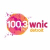 100.3 WNIC - Brandy Morning Show Cut artwork