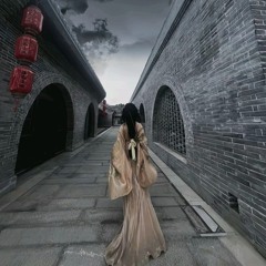 Tinh Vệ x Khúc Nhạc Trăng Tàn Remix