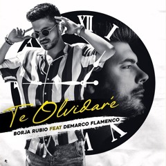 BORJA RUBIO FT DEMARCO FLAMENCO - TE OLVIDARE (Dj David Toran Remix)