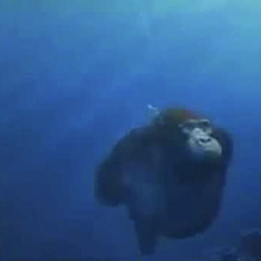 Aquatic Ambience Behdew Remix