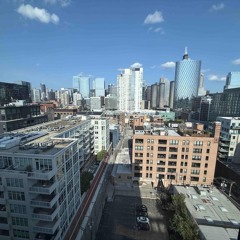 TOP LVL (feat. Pitt) [Prod. Rio Leyva & Ally P]