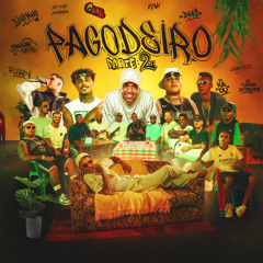 Pagodeiro, Pt. 2 (feat. Turma do Pagode, Mc Kadu, Mc Paulin da Capital, Mc Kanhoto & Dj WN)