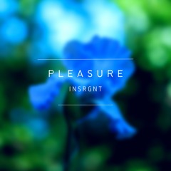 INSRGNT - Pleasure