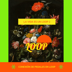 LA VIDA ES UN LOOP 2