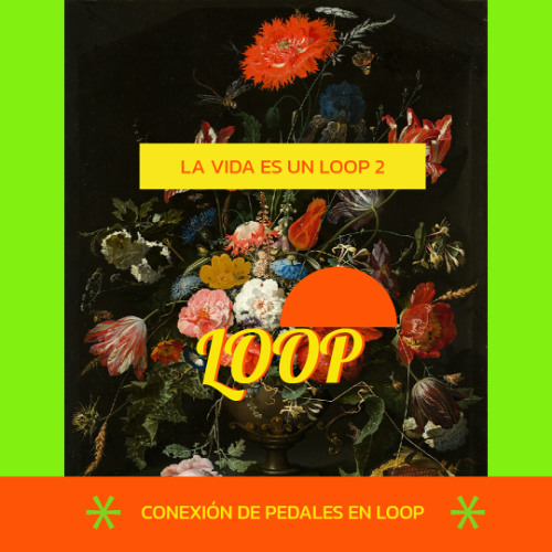 LA VIDA ES UN LOOP 2