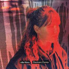 Electronic Diaries 02 // Julia Maria