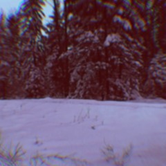 Vibin Innawoods