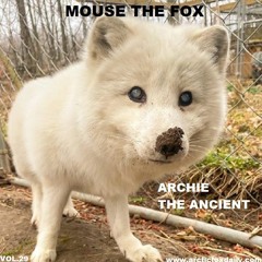 MOUSE THE FOX - ARCHIE THE ANCIENT - VOL.29 - 08.08.2021