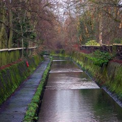 The River Rea, A Sonic Exploration