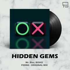 HIDDEN GEMS: Mr. Bizz, BOHO - Fixing (Original Mix) [KATERMUKKE]