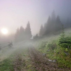 ਜੋਤਸ਼ ਜੋਤਸ਼, Instrumental 履‍♂️ FREE DOWNLOAD