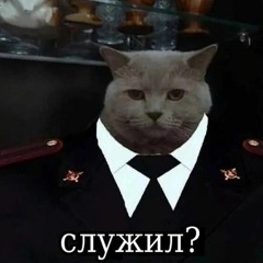 Rvmzes Feat. Bushido Zho - Шапито (Slowed)