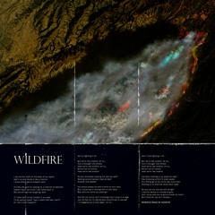 Wildfire