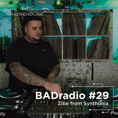BADradio #29 | Zibe