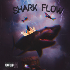 MG - Shark flow (prod Taliban global)
