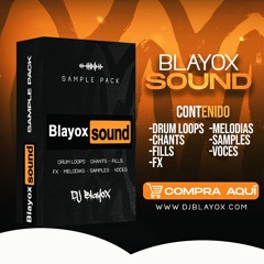🧃 BLAYOX SOUND - SAMPLE PACK 🧃 - DEMO