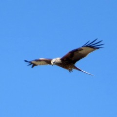 Ricarcere "REGRETS"  Pour Piano