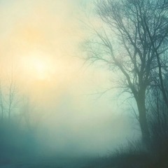 Glimmers Through The Fog