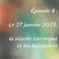 Episode 8 : Le 27 janvier 2023, la sittelle torchepot et les batraciens