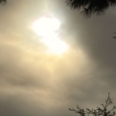 IZ YOU READY DEMO Voc 30.m4a