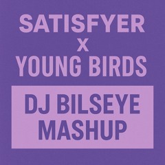 Satisfyer X Young Birds (DJ Bilseye Mashup) FREE DOWNLOAD