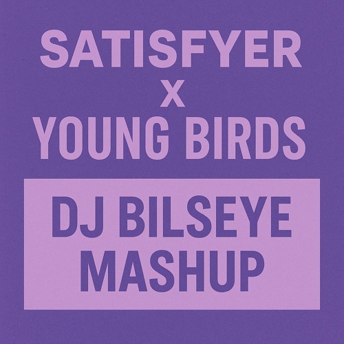 Satisfyer X Young Birds (DJ Bilseye Mashup) FREE DOWNLOAD