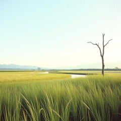 SoundTraX - Simply Live (Instrumental)