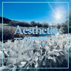 Aesthetic Agenda 007 mixed by Bek