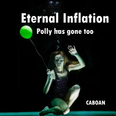 SINGLE "Eternal Inflation (Polly Has Gone Too)" (snippet)