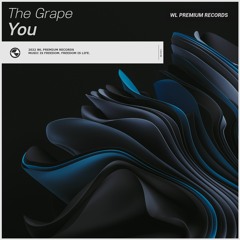 The Grape - You (Original Mix)