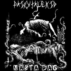 Nästa Dag