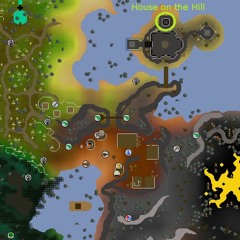 Fossil Island (why you not here with me)