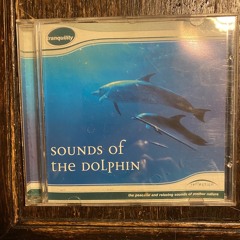 DOLPHIN MUSIC.wav