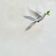 Allez (feat. Demian Araya)