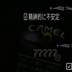 Camel Freestyle(p.Haruhi)